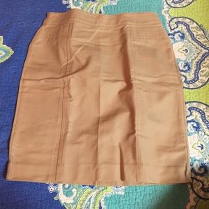 NWOT Ann Taylor skirt size 2P